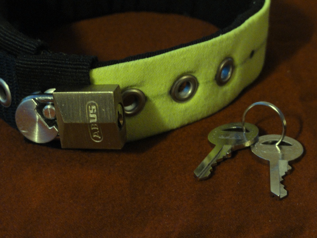 LOCKABLE NEON COLLAR