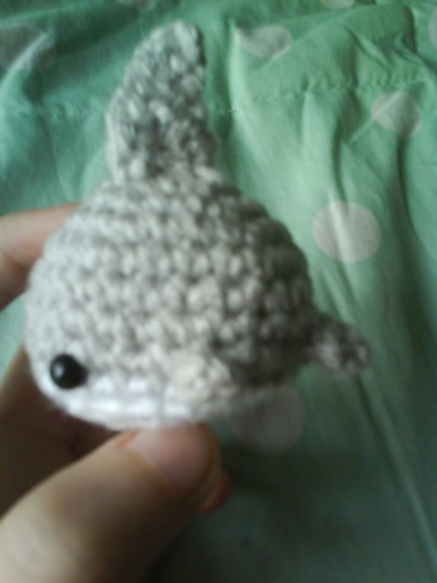 SHARK!