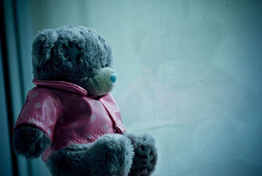 teddy