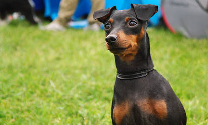 MinPin