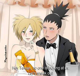 Shikatema - Wedding