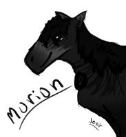 Morion Horse .:OC:.