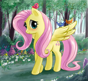 Fluttershy