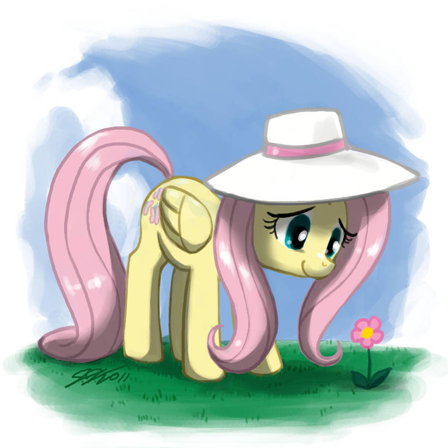 Flutterdaisy Fluttershy's Flower by johnjoseco on DeviantArt