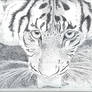 Tiger Pointillism