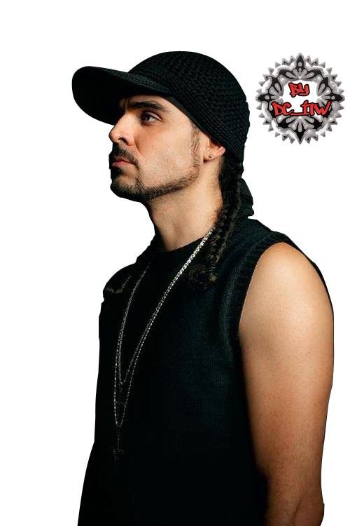 Mr Rango png by TFitw on DeviantArt