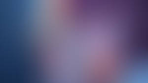 Forgotten Multiplayer Booth Beneath Blooming Wildf