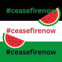 ceasefire now, free palestine