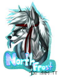 Northfrost Headshot