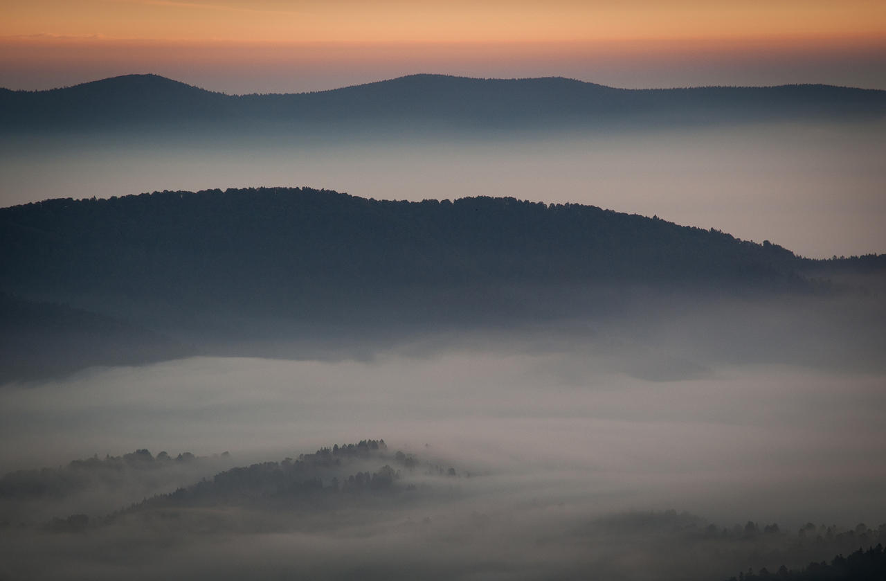 Carpathian Dawn