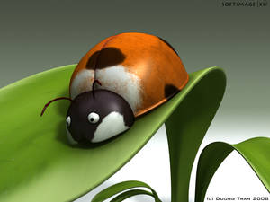 3D Ladybug 01