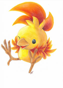 Torchic