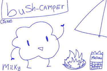 Bush-Camper