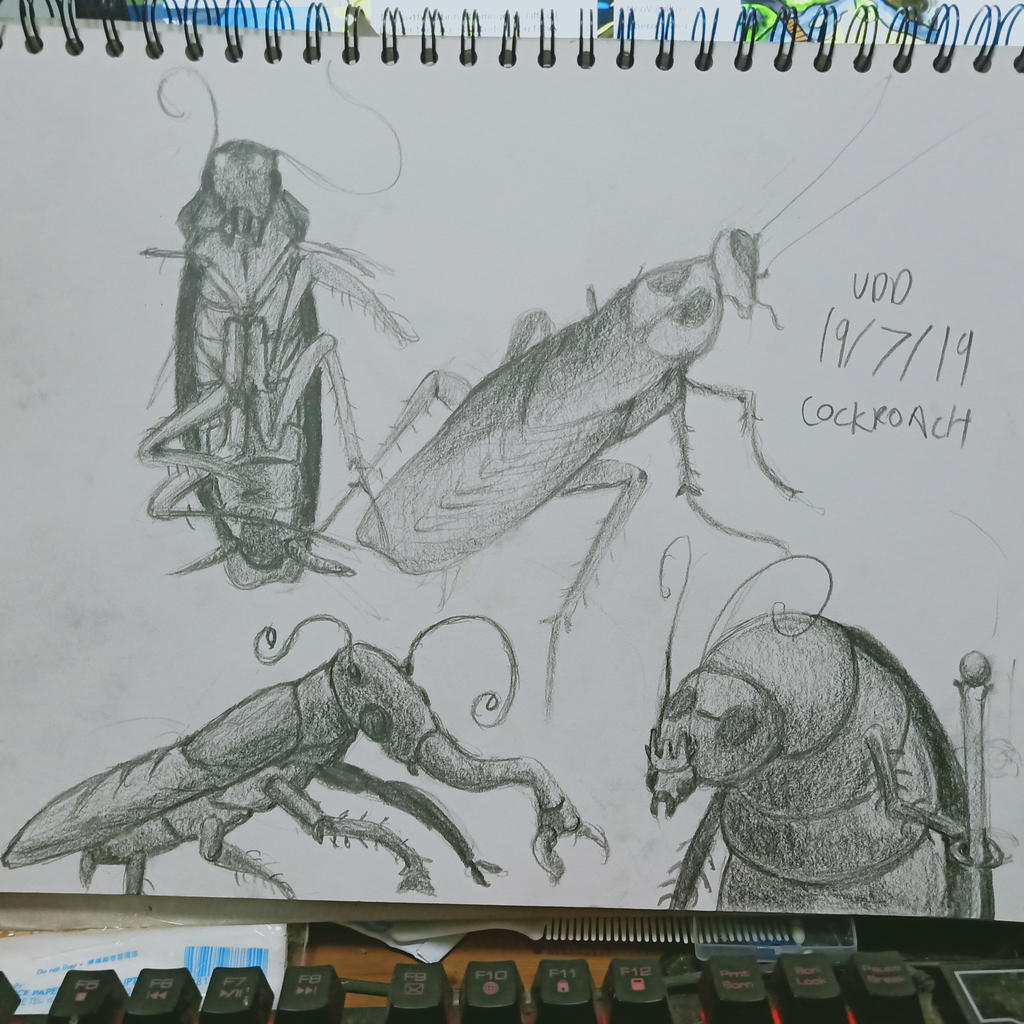 Visual Diary: Cockroaches by ChromeFlames on DeviantArt