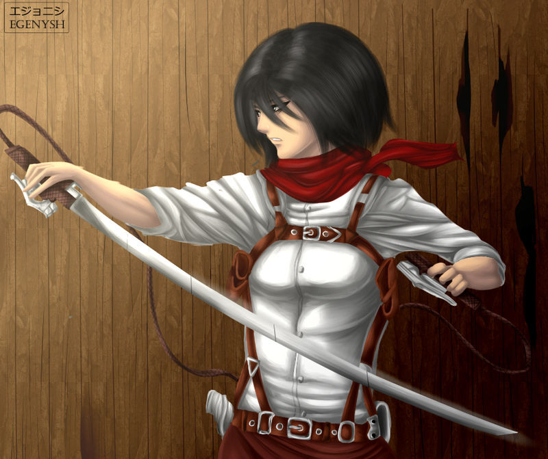 Mikasa Ackerman SnK by Egenysh on DeviantArt