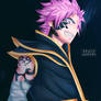 Natsu FT