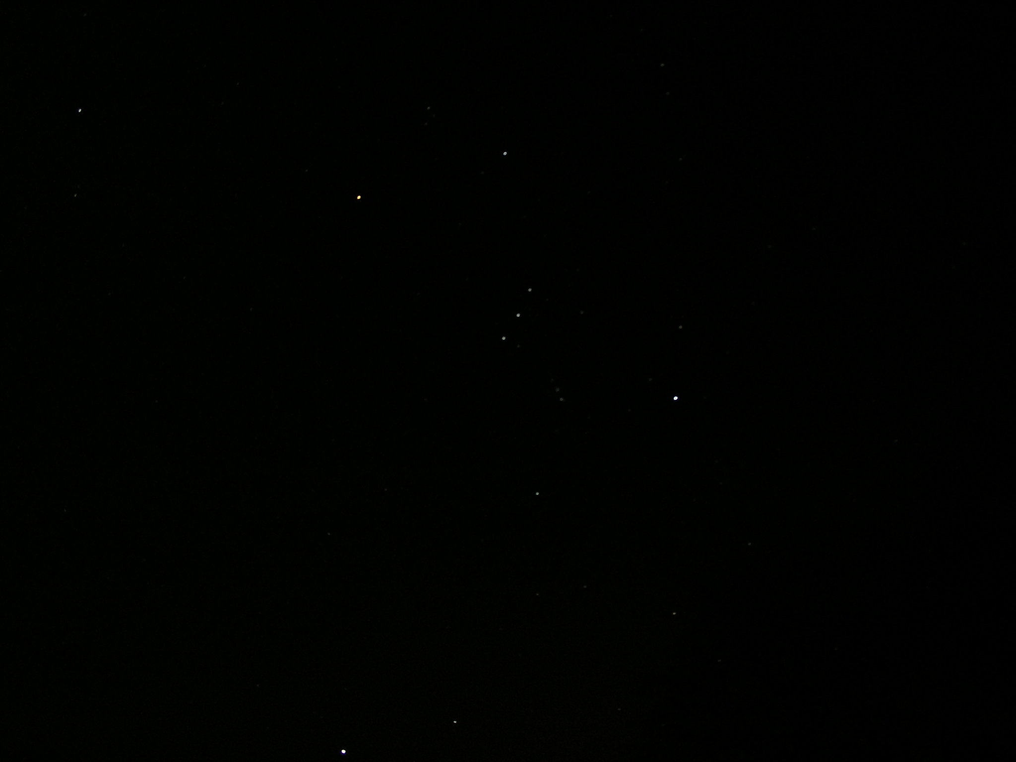 Orion