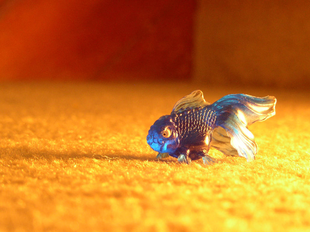 blue fish