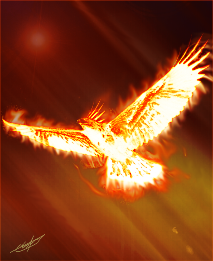 Fenix Rising