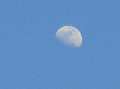 Daylight Moon