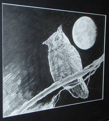 Night Owl detail