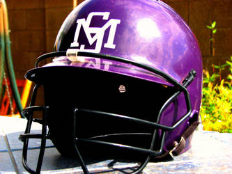 Softball Helmet