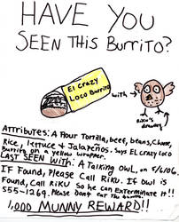 HAVE YOU SEEN THIS BURRITO??