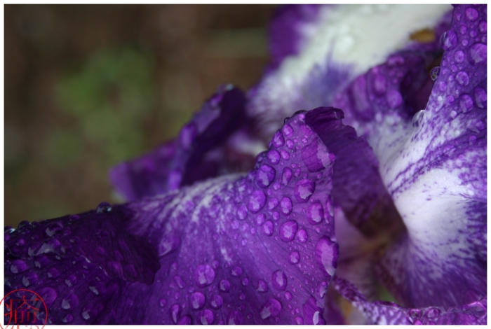 rain drops keep falling... by elektroboi on DeviantArt