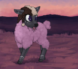 Asheep