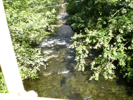 river from skylift