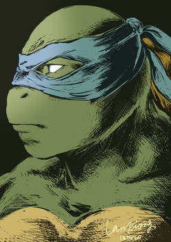 [2014Movie TMNT:Leonardo]Graphic Novel-ish art.