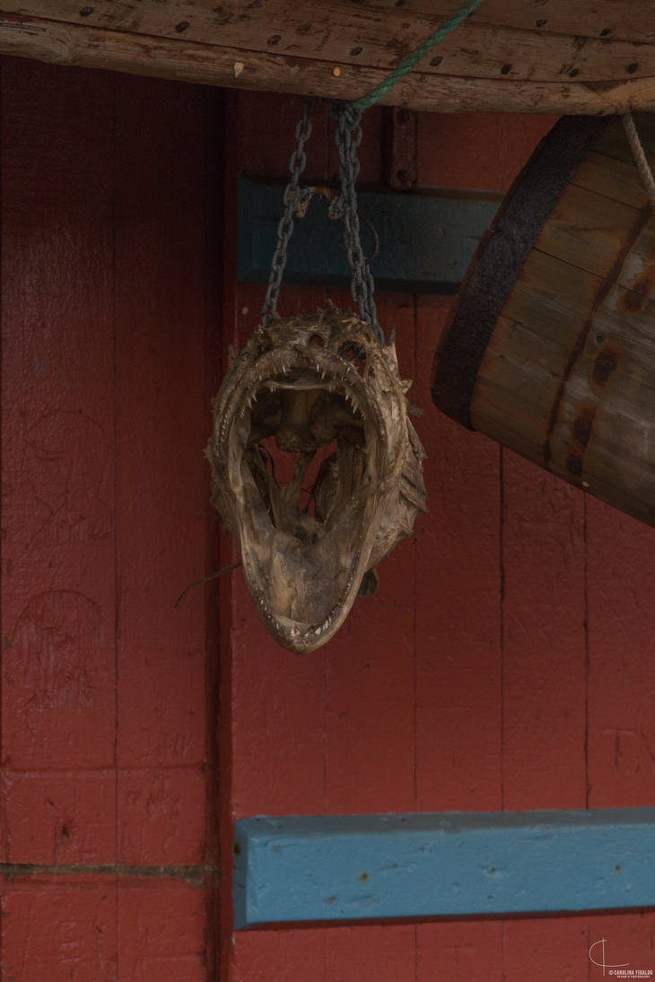 Cod head by carolinamgfidalgo on DeviantArt