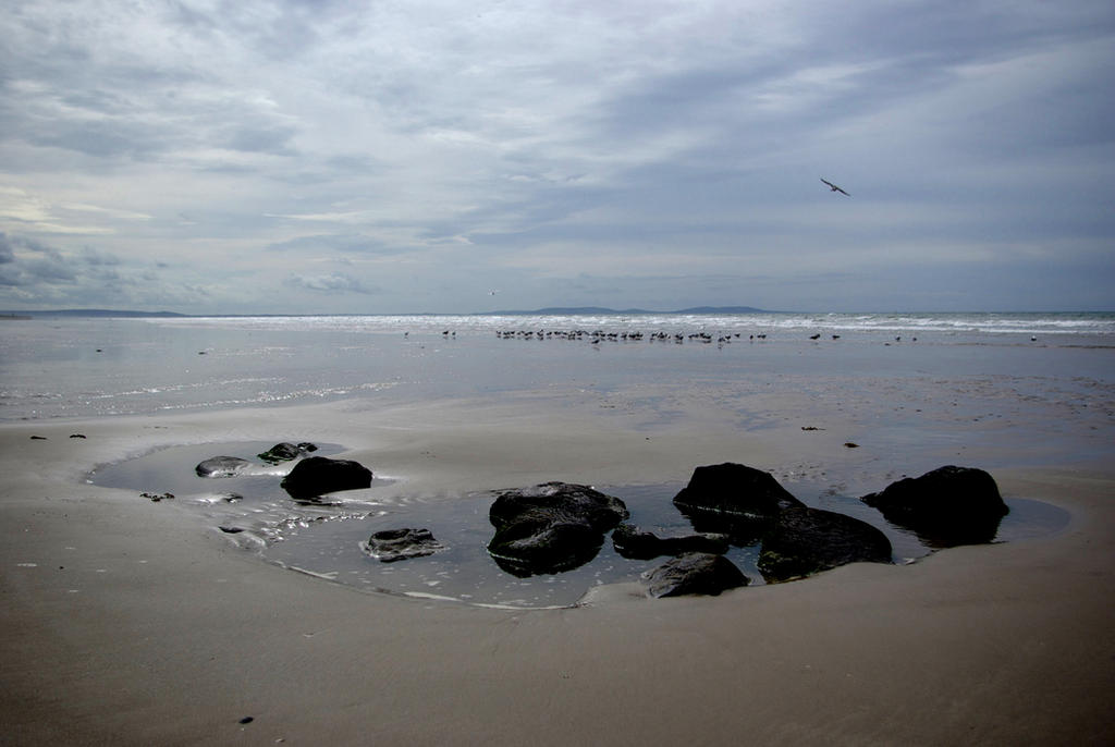 Pendine Sands Razer Shell Pendine Sands 4 by origin67 on DeviantArt