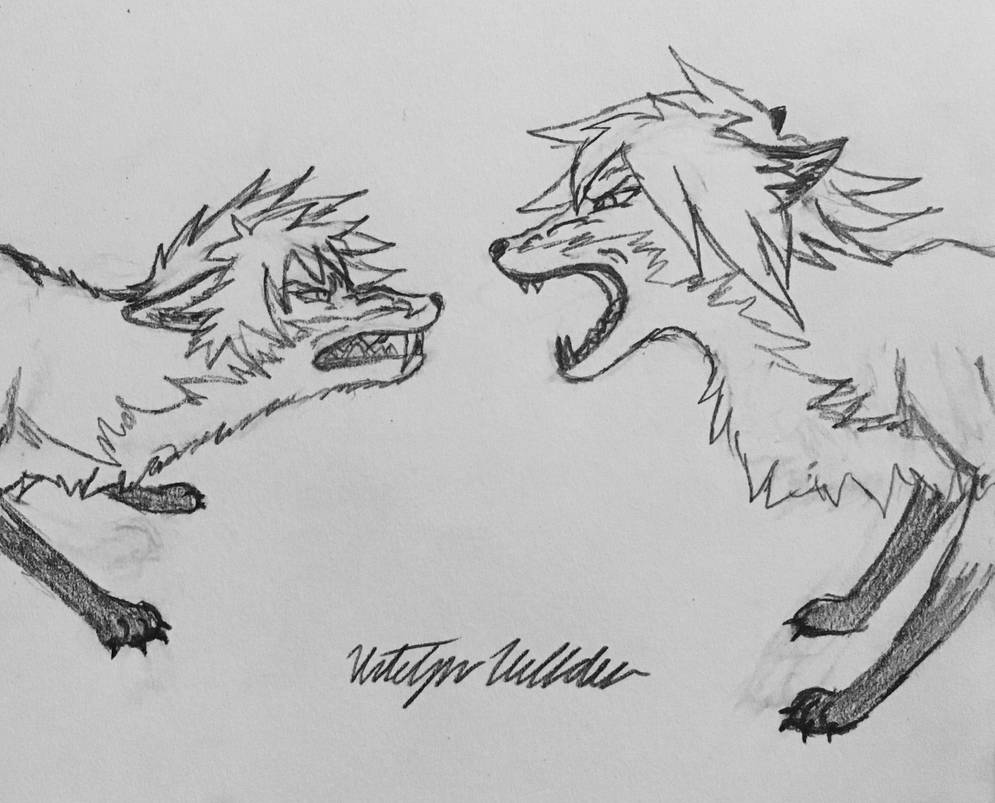 Fox Fight by ThePurpleGamerFox on DeviantArt