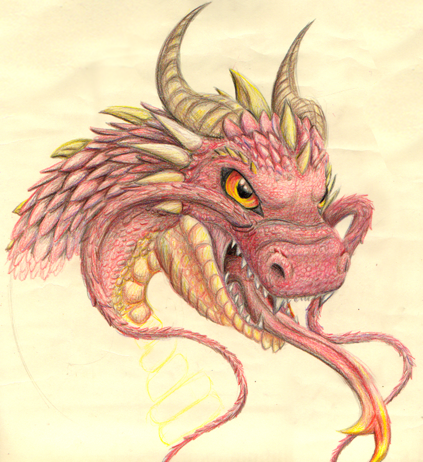 Colored Pencil Dragon WIP