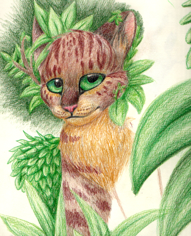 Forest Cat WIP