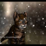 Bramblepaw's First Snow