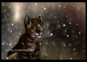 Bramblepaw's First Snow