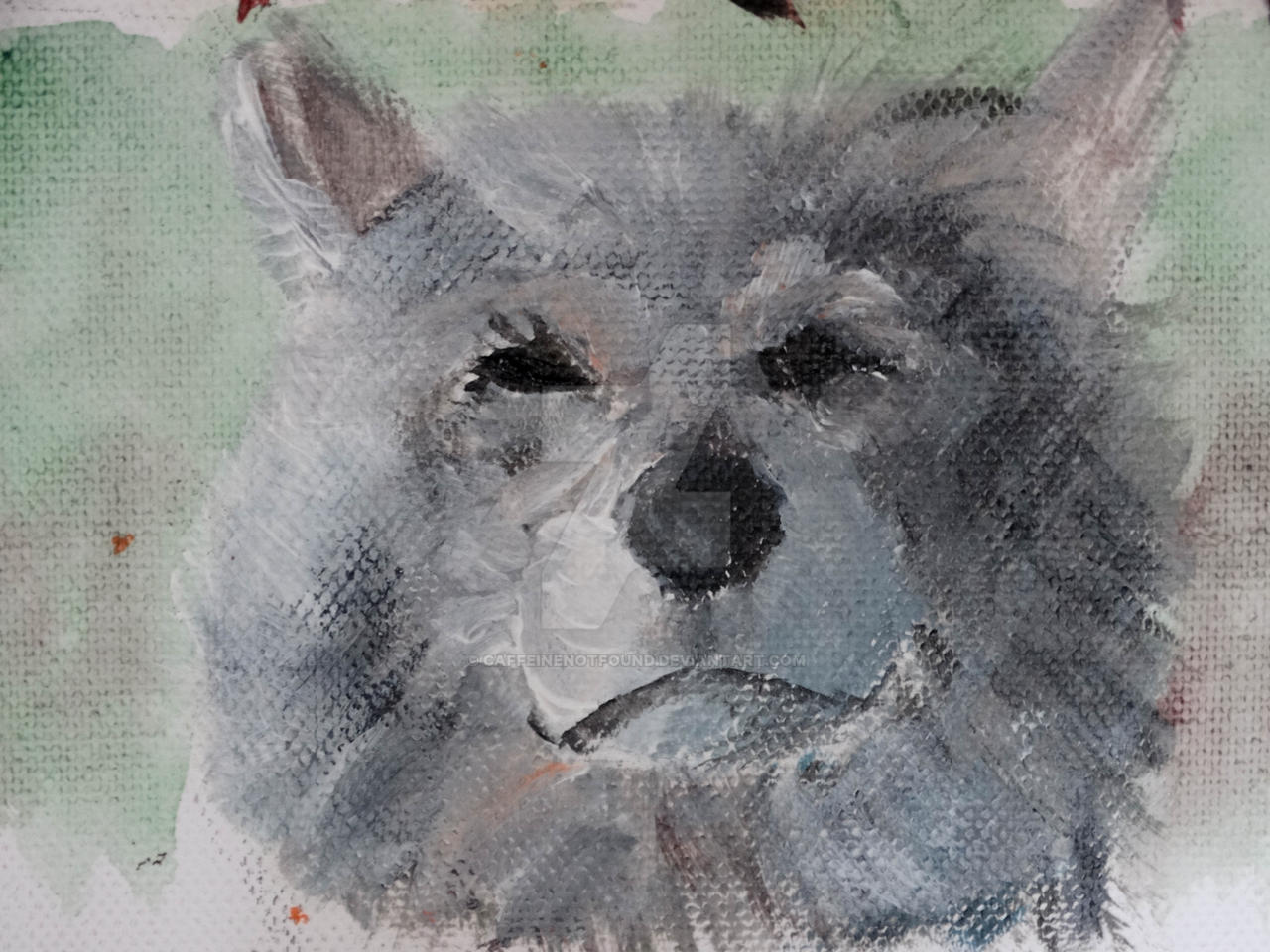 Wolf Sketch