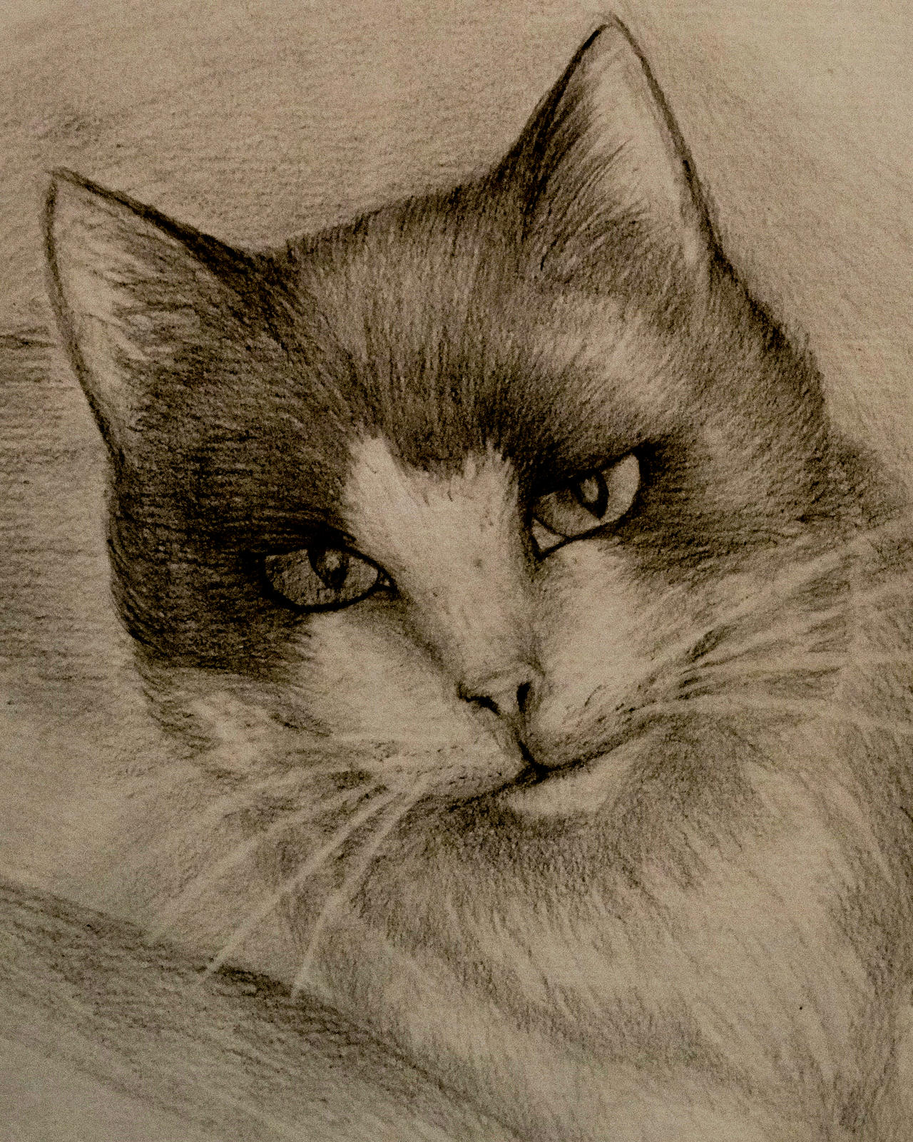 Liza