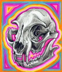 Electric Neon Kitty Skull