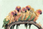 Love birds by RoosmaRoo