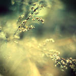 sparks by dorguska