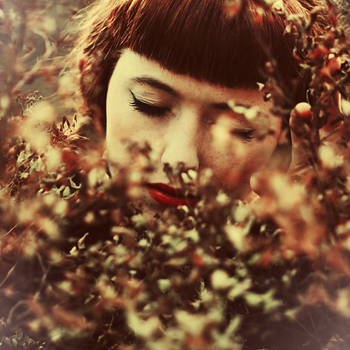 Pine Away by dorguska