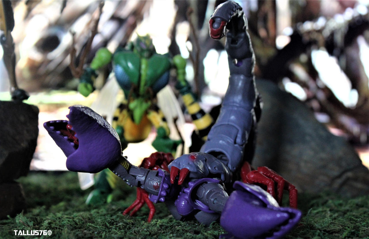 Transformers Beastwars Predacons plotting by Tallus76Photography on ...