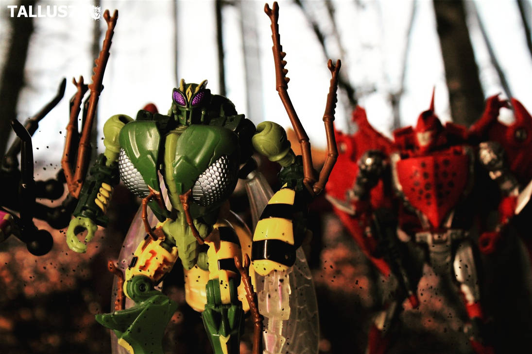 Transformers Predacons by Tallus76Photography on DeviantArt