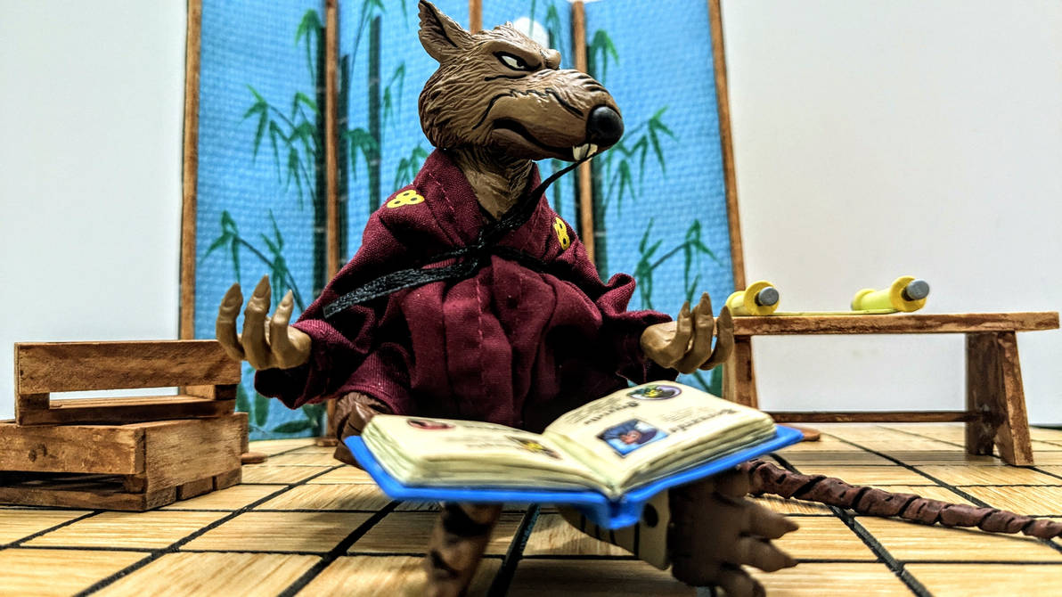 Minecraft Master Splinter Build Master Splinter by Tallus76Photography on DeviantArt