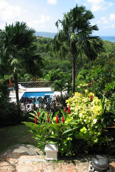 View from the Balcony