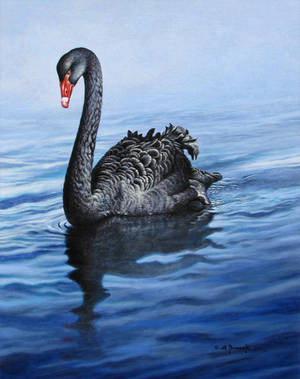 Black Swan by CitizenOlek