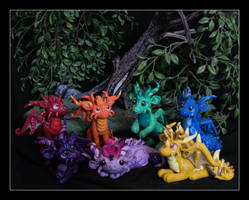 Rainbow Tribe of Dragons